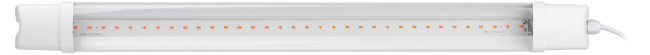 Светильник для растений Эра FITO-24W-RB-N Б0061425 Светильник для растений Эра FITO-24W-RB-N Б0061425