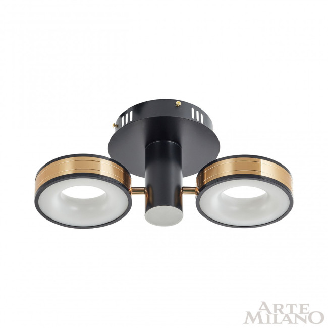 Потолочный светильник Arte Milano 271040/2R BK/GD