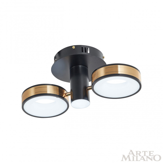 Потолочный светильник Arte Milano 271040/2R BK/GD