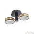 Потолочный светильник Arte Milano 271040/2R BK/GD