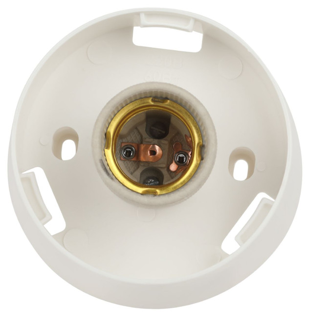 Настенно-потолочный светильник Эра НБП 01-60-004 Б0052011