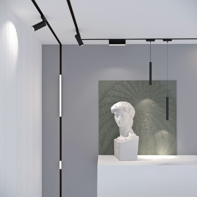 Трековый магнитный светильник Elektrostandard Flat magnetic 4690389198380 a063691