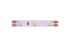 Светодиодная лента DesignLed DSG360-12-WW-33 001131 Светодиодная лента DesignLed DSG360-12-WW-33 001131