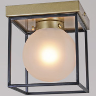 Потолочный светильник Illumico IL0050-1C-79