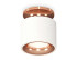 Потолочный светильник Ambrella Light Techno Spot XS7510141 (N7930, C7510, N7015) Потолочный светильник Ambrella Light Techno Spot XS7510141 (N7930, C7510, N7015)