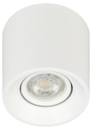 Накладной светильник Эра OL25-1 WH Б0054383