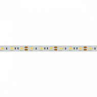 Светодиодная лента Arlight 14,4W/m 60LED/m 5060SMD дневной белый 5M 012338(2)
