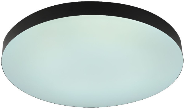 Потолочный светильник Эра Relict 48 Pult SPB-6-60-RC BK Б0059497