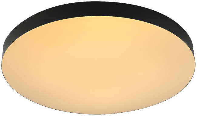 Потолочный светильник Эра Relict 48 Pult SPB-6-60-RC BK Б0059497