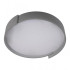 Потолочный светильник Loft IT Coin 10200 Grey