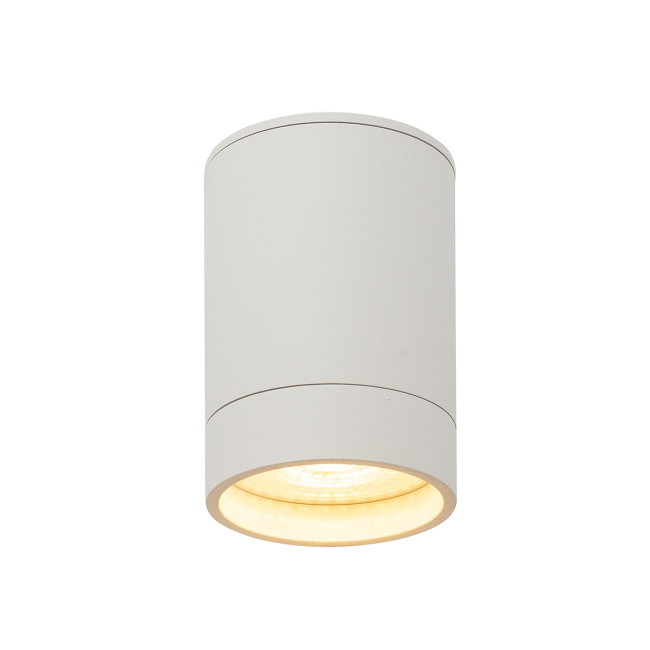 Накладной светильник Denkirs DK2050-WH Накладной светильник Denkirs DK2050-WH