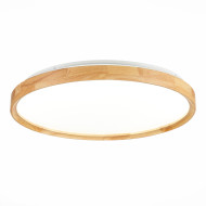 Потолочный светильник Evoluce Delia SLE201382-01