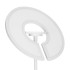 Торшер Citilux Loong CL810030 Торшер Citilux Loong CL810030