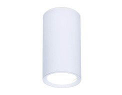Потолочный светильник Ambrella Light Techno Spot TN218 Потолочный светильник Ambrella Light Techno Spot TN218