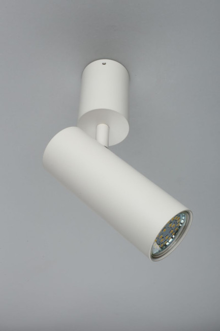 Настенно-потолочный светильник Aployt Berenis APL.007.02.01 Настенно-потолочный светильник Aployt Berenis APL.007.02.01