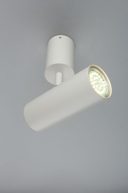 Настенно-потолочный светильник Aployt Berenis APL.007.02.01 Настенно-потолочный светильник Aployt Berenis APL.007.02.01