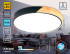 Потолочный светильник Ambrella Light Orbital Design FZ1306 Потолочный светильник Ambrella Light Orbital Design FZ1306