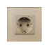 Розетка электрическая с Zigbee управлением Arlight SCT-OMALI-EUZB1-PL-GD (240V, 16A, Zigbee) 050218 Розетка электрическая с Zigbee управлением Arlight SCT-OMALI-EUZB1-PL-GD (240V, 16A, Zigbee) 050218