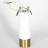 Накладной светильник Lussole Gilbert LSP-8831 Накладной светильник Lussole Gilbert LSP-8831