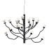Подвесная люстра Delight Collection P0550-18A black Подвесная люстра Delight Collection P0550-18A black