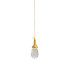 Подвесной светильник Delight Collection Seed OMG07287-1 C2 gold Подвесной светильник Delight Collection Seed OMG07287-1 C2 gold