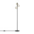 Торшер Freya Shimmer FR5435FL-03B Торшер Freya Shimmer FR5435FL-03B