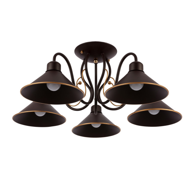 Потолочный светильник EVOLUCE CIOLLA SLE120402-05