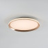 Потолочный светильник LED4U L3020-400 GD