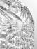 Подвесной светильник Bohemia Ivele Crystal 14781P/22 Ni V0300 Подвесной светильник Bohemia Ivele Crystal 14781P/22 Ni V0300