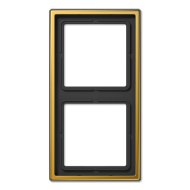 Рамка двухместная Jung LS982GGO