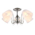 Потолочная люстра Omnilux Leonessa OML-29127-05 Потолочная люстра Omnilux Leonessa OML-29127-05
