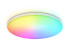Потолочный светильник Ambrella Light Orbital Dance FZ2001 Потолочный светильник Ambrella Light Orbital Dance FZ2001