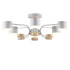 Люстра на штанге Lumion Rondo 8231/6C Люстра на штанге Lumion Rondo 8231/6C