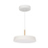 Подвесной светильник Arlight SP-ELEGANT-R300-17W Warm3000 (WH, 120 deg, 230V) 033914(1) Подвесной светильник Arlight SP-ELEGANT-R300-17W Warm3000 (WH, 120 deg, 230V) 033914(1)