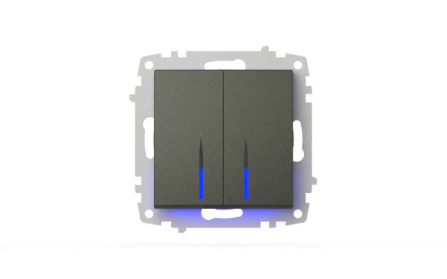 Выключатель двухклавишный с подсветкой ELBI Zena Vega 609-011100-203 Выключатель двухклавишный с подсветкой ELBI Zena Vega 609-011100-203