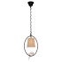 Подвесной светильник LOFT IT Birds Loft1029A-1 Подвесной светильник LOFT IT Birds Loft1029A-1