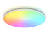 Потолочный светильник Ambrella Light Orbital Dance FZ2002 Потолочный светильник Ambrella Light Orbital Dance FZ2002