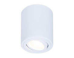 Потолочный светильник Ambrella Light Techno Spot TN225 Потолочный светильник Ambrella Light Techno Spot TN225