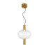 Подвесной светильник ST Luce SL1582.303.01 Подвесной светильник ST Luce SL1582.303.01