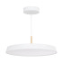 Подвесной светильник Arlight SP-ELEGANT-R500-37W Warm3000 (WH, 120 deg, 230V) 033925(1) Подвесной светильник Arlight SP-ELEGANT-R500-37W Warm3000 (WH, 120 deg, 230V) 033925(1)