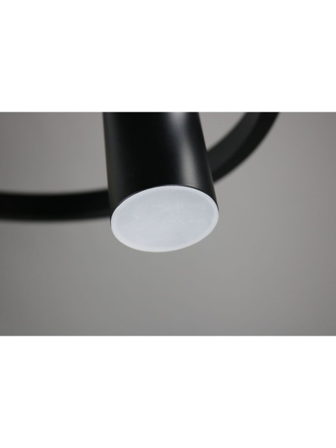 Подвесная люстра Zortes Tweeny ZRS.1828.50 Подвесная люстра Zortes Tweeny ZRS.1828.50