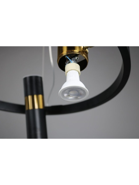 Подвесная люстра Zortes Tweeny ZRS.1828.50 Подвесная люстра Zortes Tweeny ZRS.1828.50