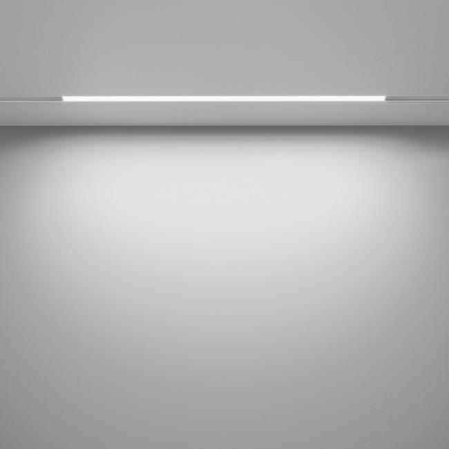 Трековый магнитный светильник Maytoni Basis TR030-4-24W3K-WW-DS-W