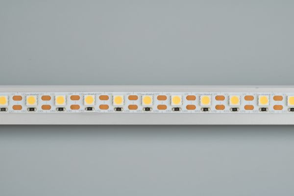 Светодиодная лента Arlight RT-B72-10mm 12V Day4000-CX1 (15.6 W/m, IP20, 5060, 5m) 016841(2)