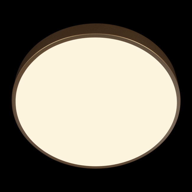 Потолочный светильник Loft IT Flims 10228/A Потолочный светильник Loft IT Flims 10228/A