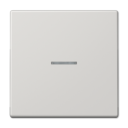 Клавиша 1-ная с линзой Jung LS990 LS990KO5LG Клавиша 1-ная с линзой Jung LS990 LS990KO5LG