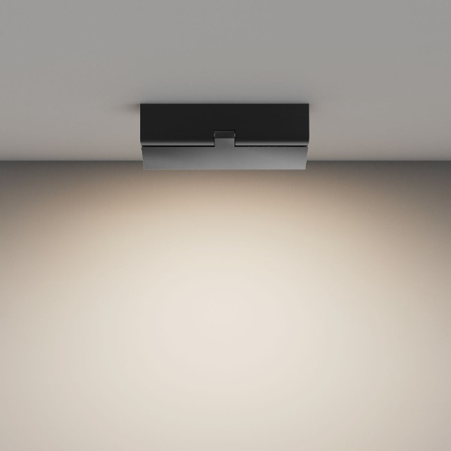 Потолочный светильник Maytoni Basis Rot C133CL-12W4K-B