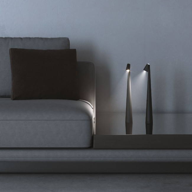 Настольная лампа Elektrostandard Elite 4690389208508 TL70250 a068070