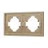 Рамка пластиковая на 2 поста Arlight FRM-TENDO-SFPL-2-GD 054647