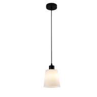 Подвесной светильник Escada Clarity 120004/1P Black ES0000041 Подвесной светильник Escada Clarity 120004/1P Black ES0000041